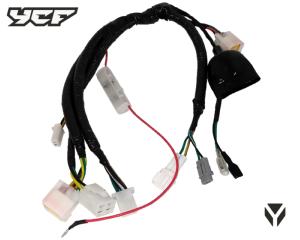 FAISCEAU BIGY MOTEUR AVEC DEMARREUR (connecteur étanche)