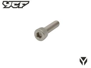 Vis M8x30mm