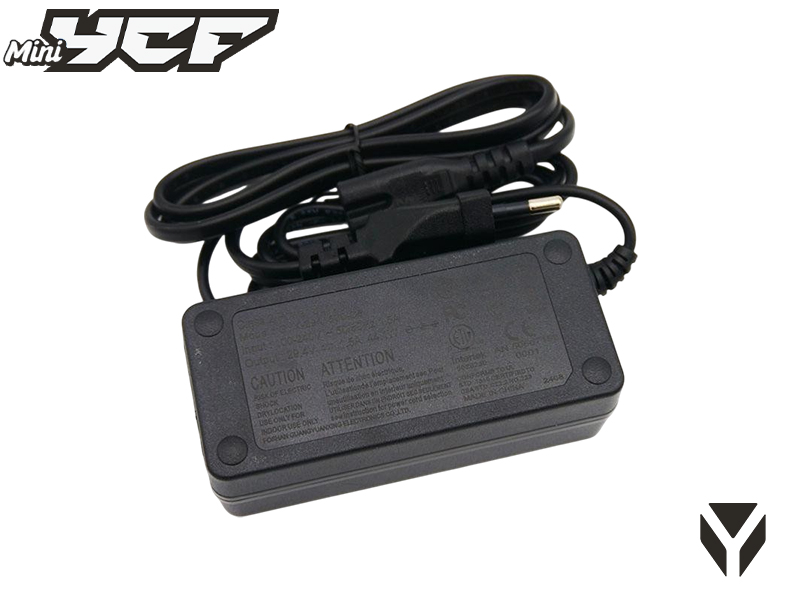 CHARGEUR STANDARD EUROPEEN