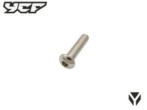 Vis tete ronde M10x40mm