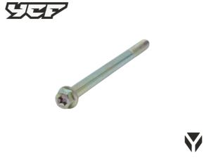 VIS M8X115 TETE 2020